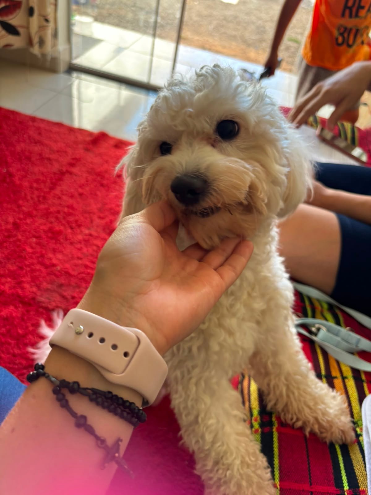 Atendimento veterinário humanizado